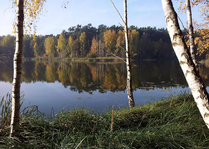 Nr-12 By Interhome Lejlighed Bad Saarow